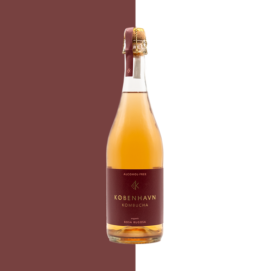 københavn kombucha - rosa rugosa