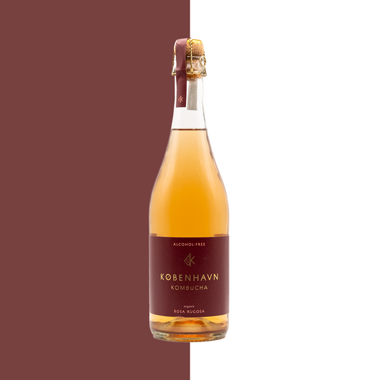 københavn kombucha - rosa rugosa